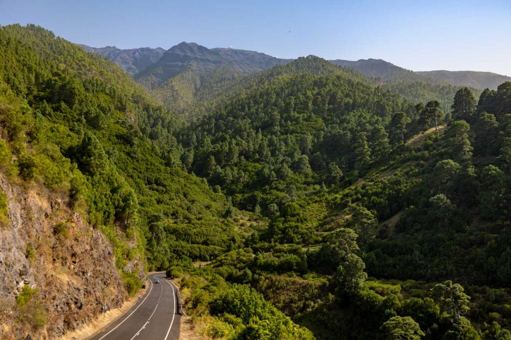 %Autos Ferraz, rent a car en La Palma%