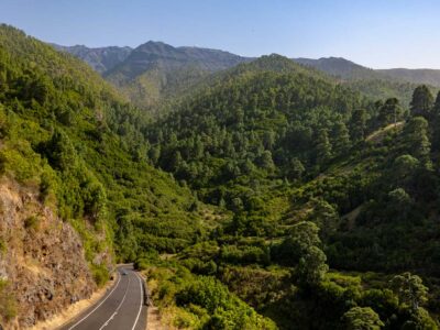 %Autos Ferraz, rent a car en La Palma%