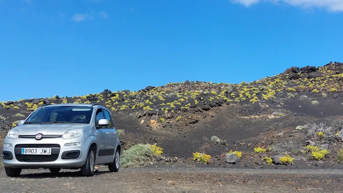 alquiler de coches, empresa de confianzar