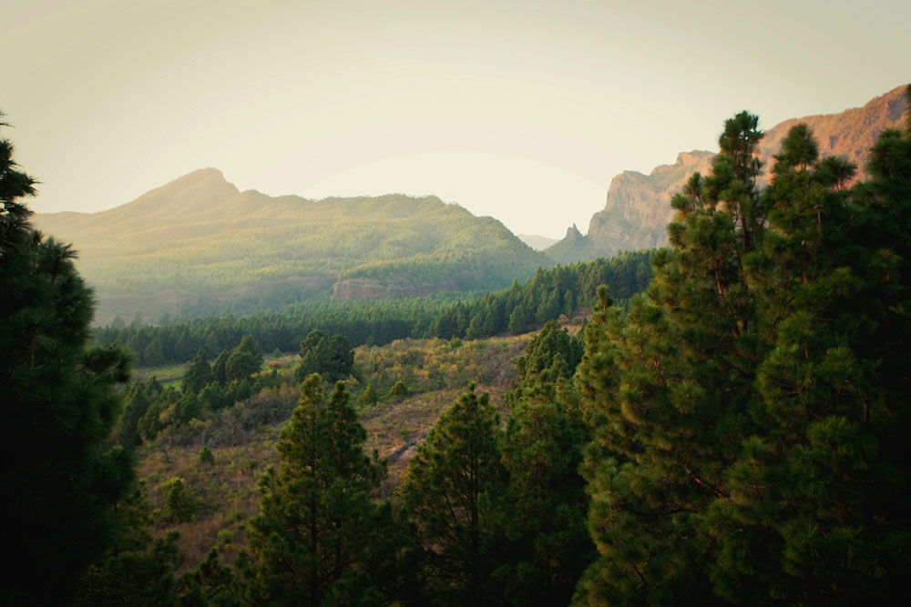 Ruta en coche por La Palma en 3 días
