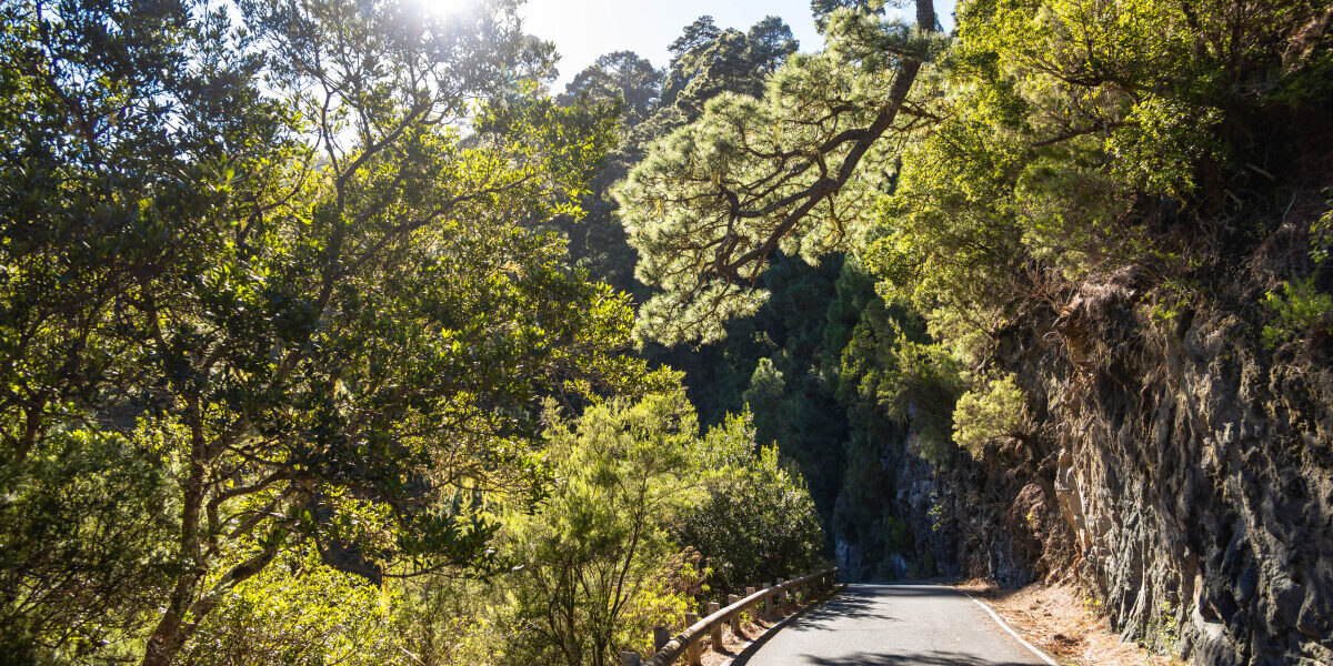 alquiler de coches en La Palma en Semana Santa