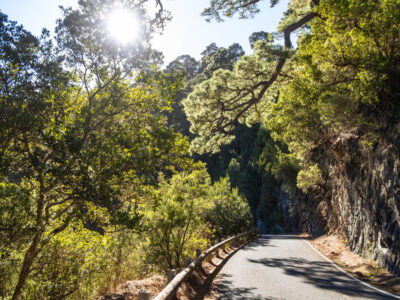 alquiler de coches en La Palma en Semana Santa