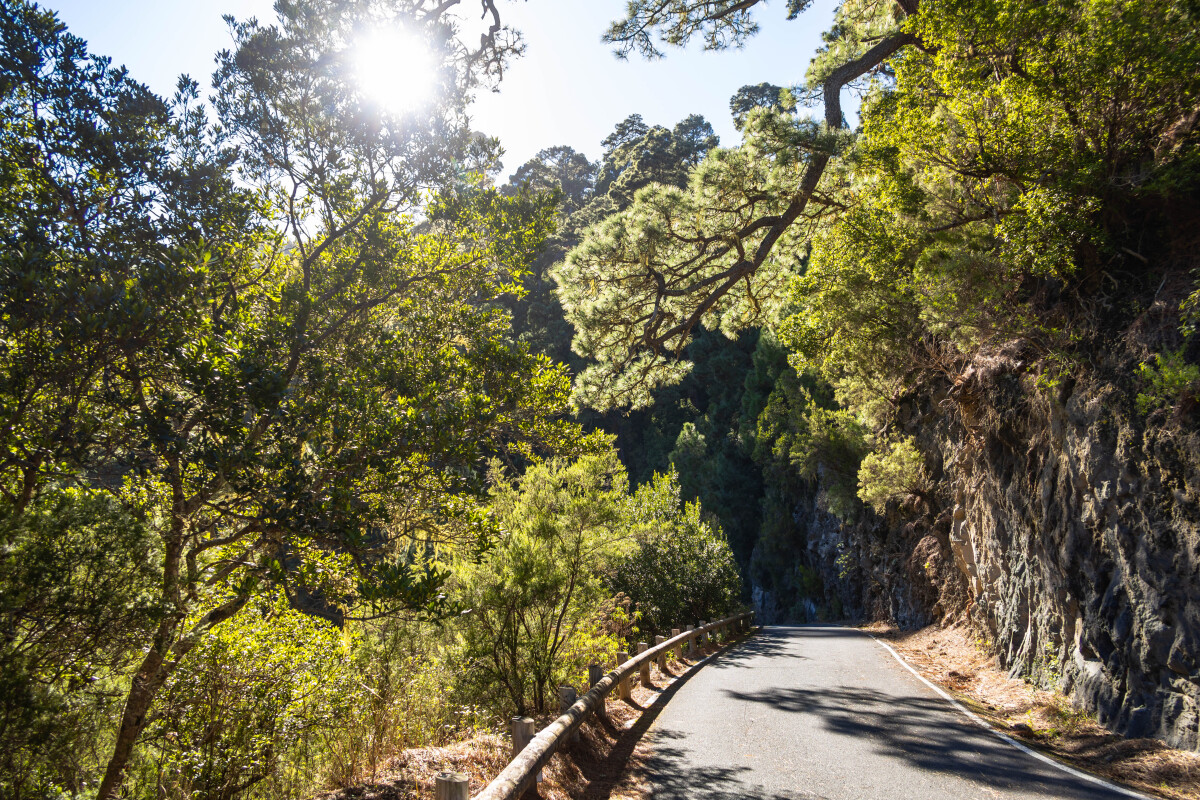 alquiler de coches en La Palma en Semana Santa