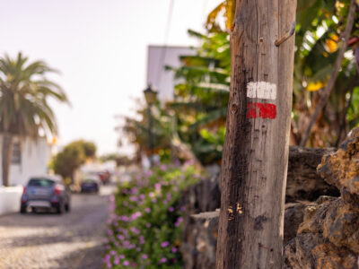 Rent a car en La Palma: cómo elegir el coche ideal para descubrir la isla