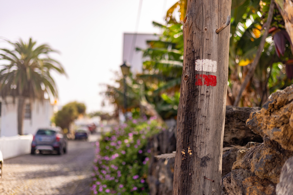 Rent a car en La Palma: cómo elegir el coche ideal para descubrir la isla