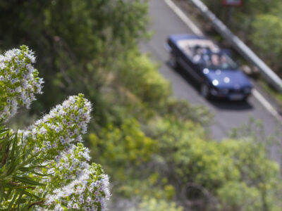 Alquiler coche La Palma sin franquicia: guía